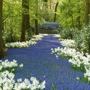 Meet your Posher, Pat